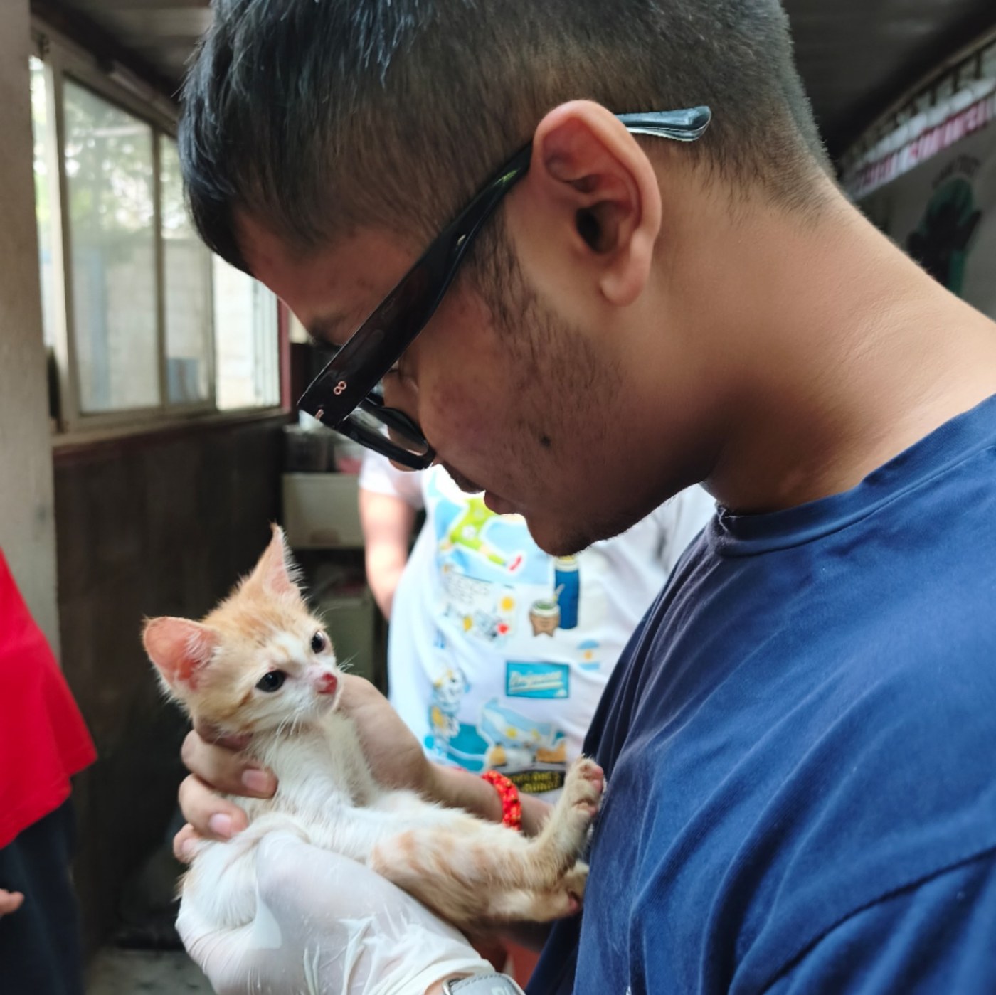 Karuna project animal welfare activity